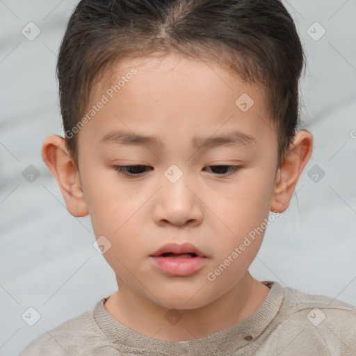 Neutral white child male with short  brown hair and brown eyes