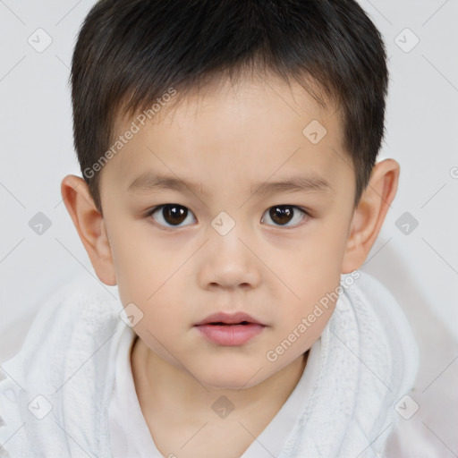 Neutral white child male with short  brown hair and brown eyes