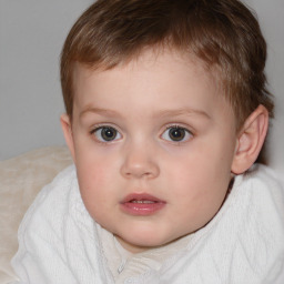 Neutral white child male with short  brown hair and blue eyes