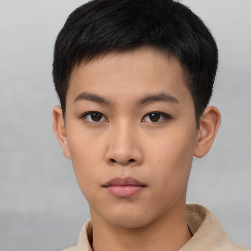 Neutral asian young-adult male with short  brown hair and brown eyes