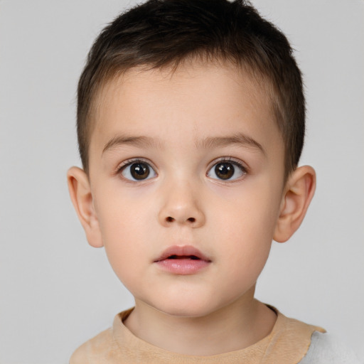 Neutral white child male with short  brown hair and brown eyes