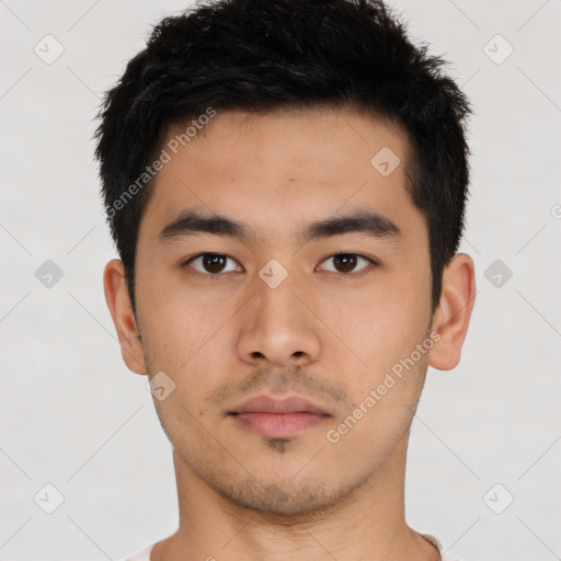 Neutral asian young-adult male with short  black hair and brown eyes