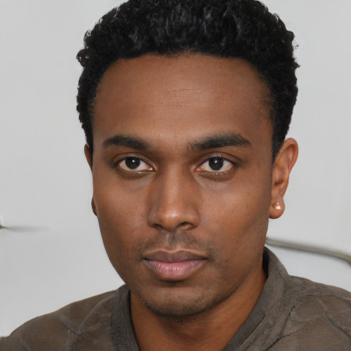 Neutral black young-adult male with short  black hair and brown eyes