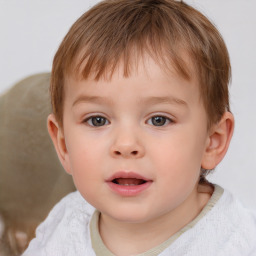 Neutral white child male with short  brown hair and brown eyes