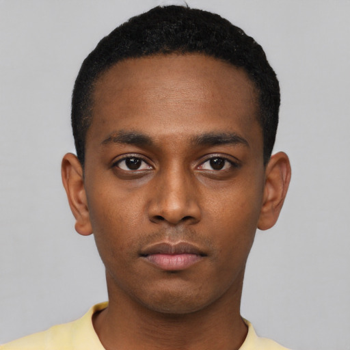 Neutral black young-adult male with short  black hair and brown eyes