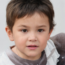 Neutral white child male with short  brown hair and brown eyes