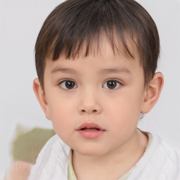 Neutral white child male with short  brown hair and brown eyes