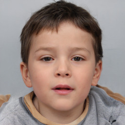 Neutral white child male with short  brown hair and brown eyes