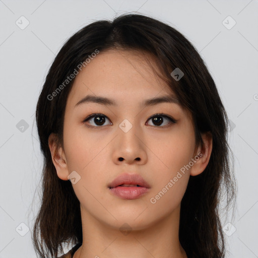 Neutral asian young-adult female with long  brown hair and brown eyes