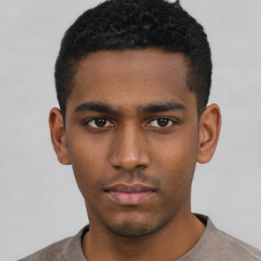 Neutral black young-adult male with short  black hair and brown eyes
