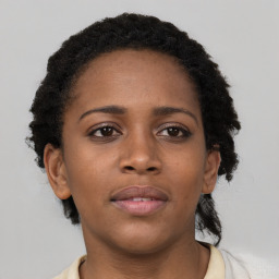 Neutral black young-adult female with short  brown hair and brown eyes