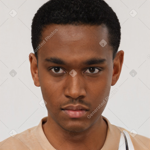 Neutral black young-adult male with short  black hair and brown eyes