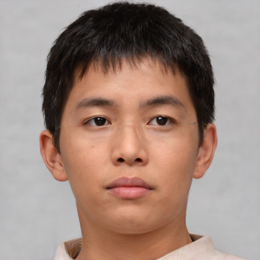 Neutral asian young-adult male with short  brown hair and brown eyes