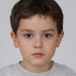 Neutral white child male with short  brown hair and brown eyes