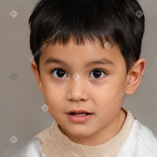 Neutral white child male with short  brown hair and brown eyes