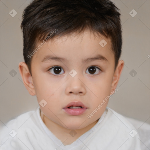 Neutral white child male with short  brown hair and brown eyes