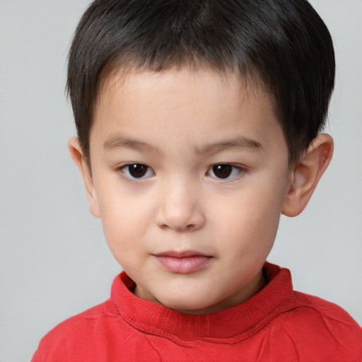 Neutral white child male with short  brown hair and brown eyes