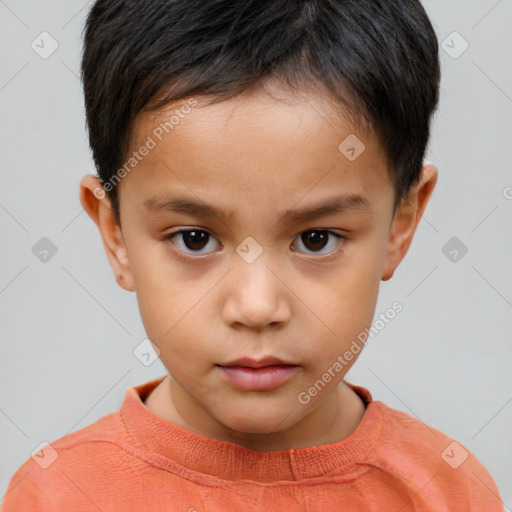 Neutral white child male with short  brown hair and brown eyes