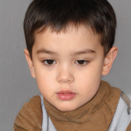 Neutral white child male with short  brown hair and brown eyes