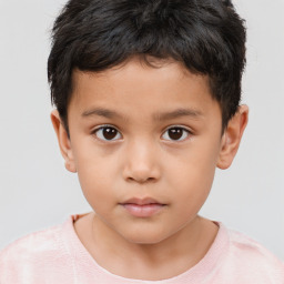 Neutral white child male with short  brown hair and brown eyes