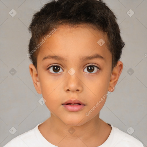 Neutral white child male with short  brown hair and brown eyes