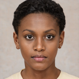 Neutral black young-adult female with short  brown hair and brown eyes