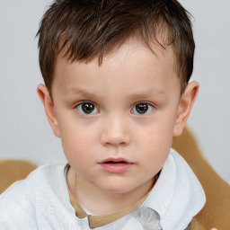 Neutral white child male with short  brown hair and brown eyes