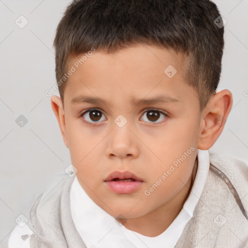 Neutral white child male with short  brown hair and brown eyes