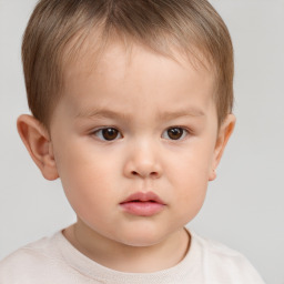 Neutral white child male with short  brown hair and brown eyes