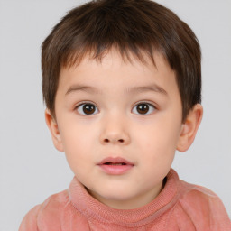 Neutral white child male with short  brown hair and brown eyes