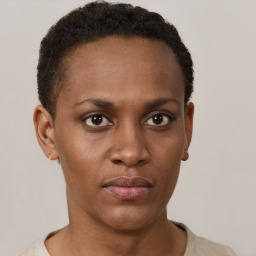Neutral black young-adult female with short  brown hair and brown eyes