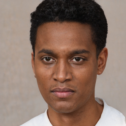 Neutral black young-adult male with short  black hair and brown eyes