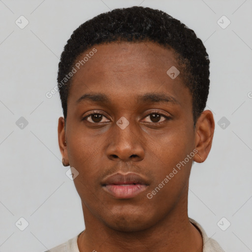 Neutral black young-adult male with short  black hair and brown eyes