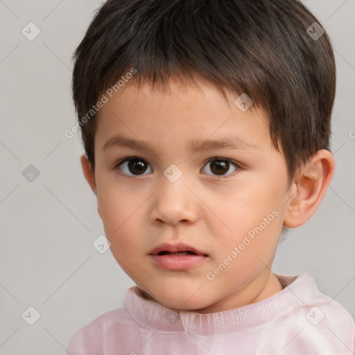 Neutral white child male with short  brown hair and brown eyes