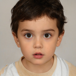 Neutral white child male with short  brown hair and brown eyes