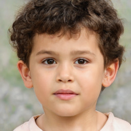 Neutral white child male with short  brown hair and brown eyes