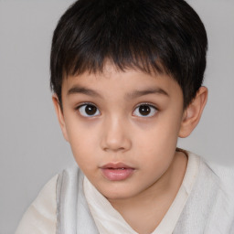 Neutral white child male with short  brown hair and brown eyes