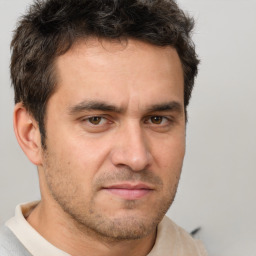 Joyful white adult male with short  brown hair and brown eyes