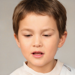 Neutral white child male with short  brown hair and brown eyes