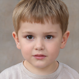 Neutral white child male with short  brown hair and brown eyes