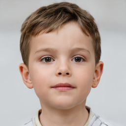 Neutral white child male with short  brown hair and brown eyes