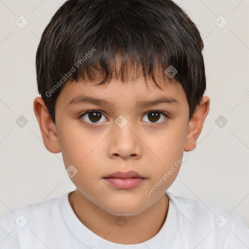 Neutral white child male with short  brown hair and brown eyes