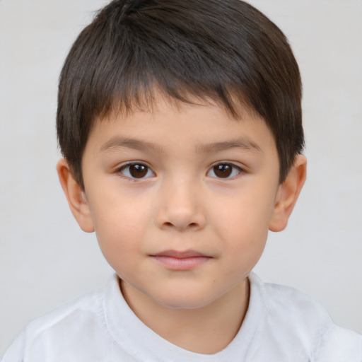 Neutral white child male with short  brown hair and brown eyes