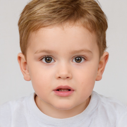 Neutral white child male with short  brown hair and brown eyes