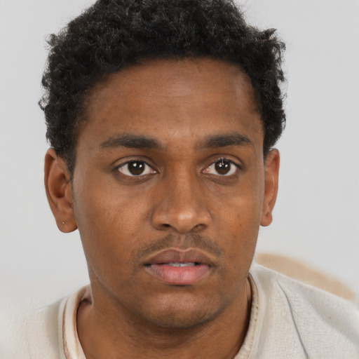 Neutral black young-adult male with short  brown hair and brown eyes