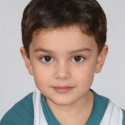 Neutral white child male with short  brown hair and brown eyes