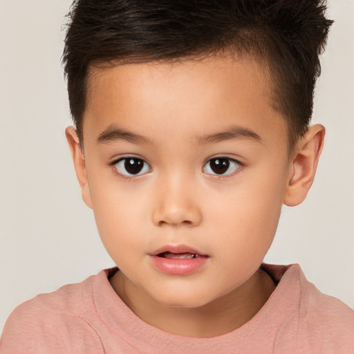 Neutral white child male with short  brown hair and brown eyes