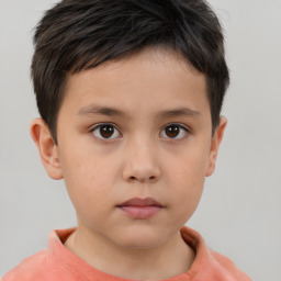 Neutral white child male with short  brown hair and brown eyes