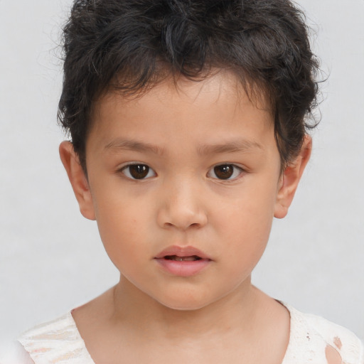 Neutral white child male with short  brown hair and brown eyes