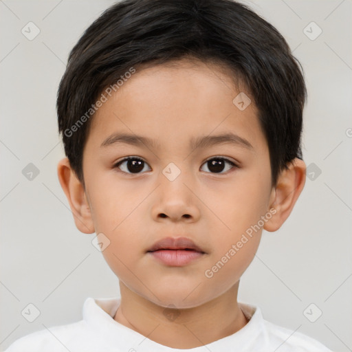 Neutral white child male with short  brown hair and brown eyes